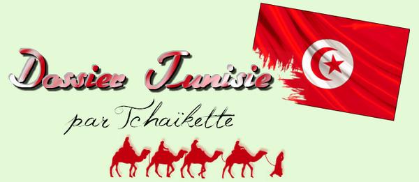 Révolutions du Jasmin en Tunisie