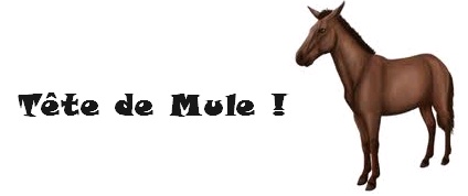 « Tête de mule » mais pas « bonnet d’âne » !