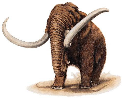 animal préhistorique