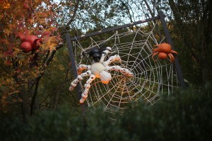 Sculpture sur citrouilles de Halloween : araignée