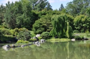 Sur cette photo se trouve un étang entouré d'arbres dans le Jardin botanique de Montréal, qui est le deuxième bon plan pour sortir à Montréal.