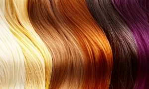 La couleur des cheveux