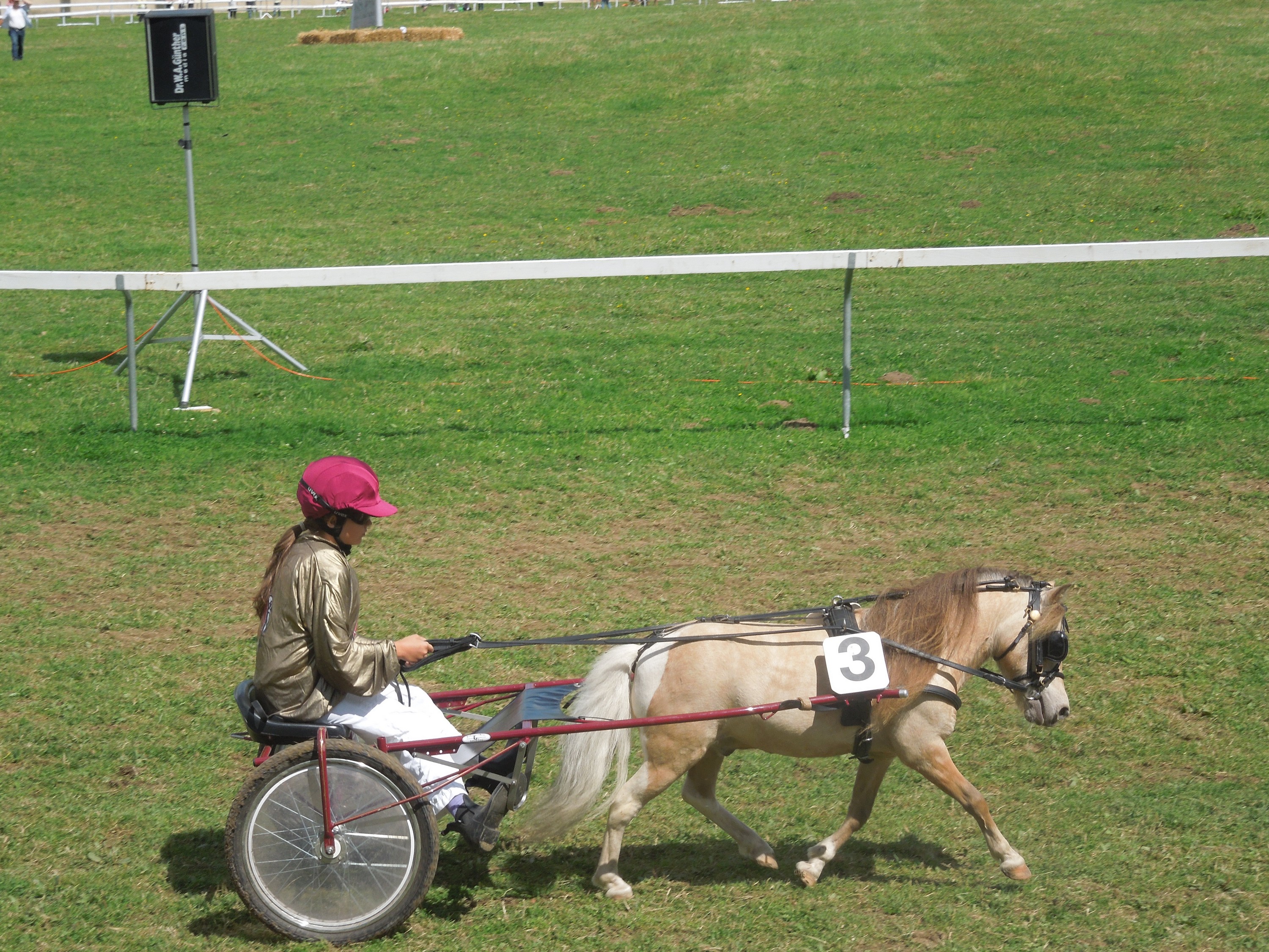 un enfant et son poney de course au March-Concours de Saignelégier