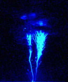 Image de phénomène lumineux transitoire blue jet