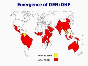 Dengue répartition