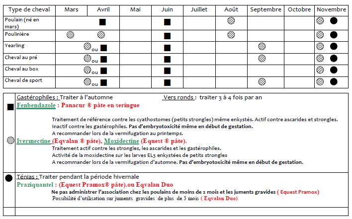 Vermifugation des chevaux | Magazine Cheval / MonChval Mag : Bien plus