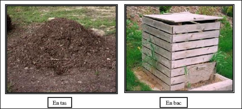 Les différents compost à mettre dans votre jardin