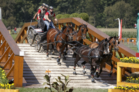 Championnats Europe équitation aachen 2015 attelage brauchle