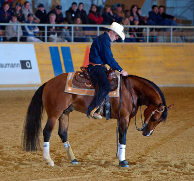 Discipline équitation western reining équipement