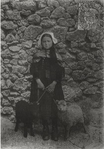 carte de 1906 d'une résidente de l'île d'Ouessant et deux agneaux - copie