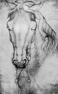 Cheval harnaché de Pisanello Antonio