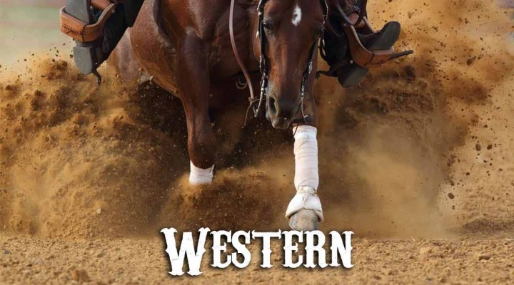 Les disciplines western