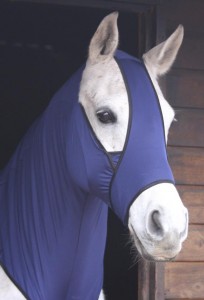 protection cheval insectes