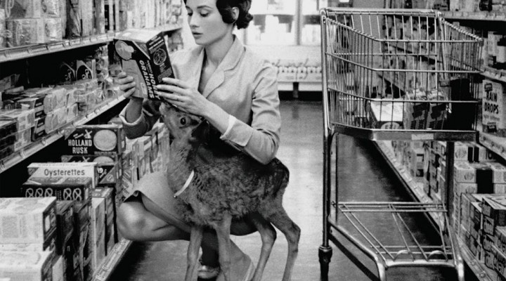 Les animaux des stars