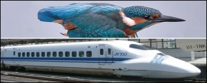 Le martin pêcheur inspire le Shinkansen