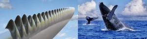 nageoire de baleine inspire les pales des éoiliennes