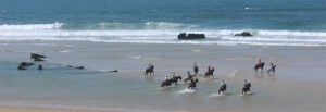 Randonnée à cheval sur la plage