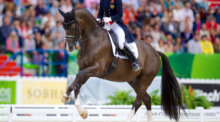 Une journée en concours de dressage