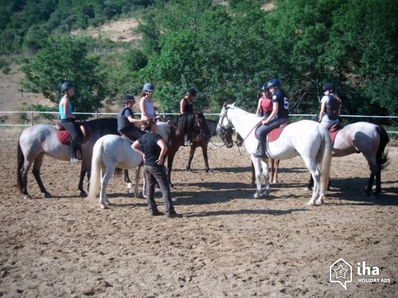Les métiers du cheval : moniteur d’équitation