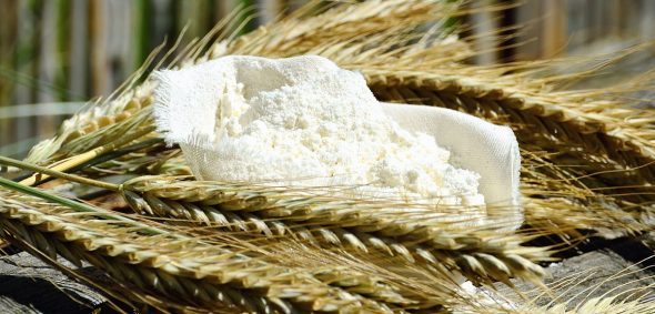 Du blé tendre est produit en France
