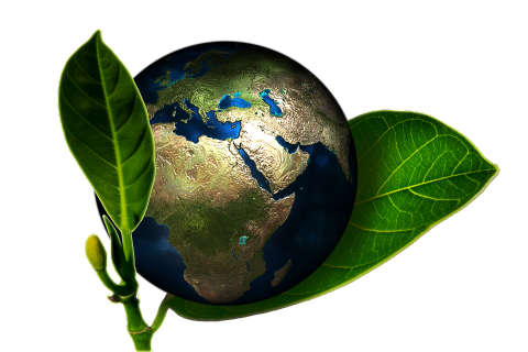 Ce que 2018 a apporté à l’écologie