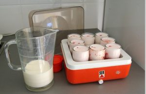 yaourt maison yaourtiere