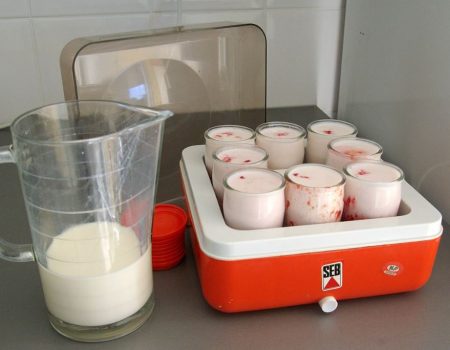 Un pas de plus dans le zéro déchet : la yaourtière maison
