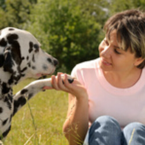 Moment d'affection entre un chien et un Homme