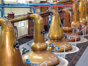 Le célèbre Whisky de Glenfiddich