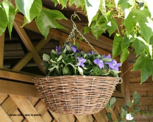 Choisir des pots suspendus pour son jardin et pour réaménager sa cour