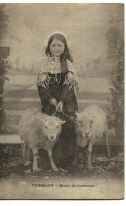début des années 1900 fillete et ses deux brebis (jeune à sa droite et adulte à sa gauche) - copie