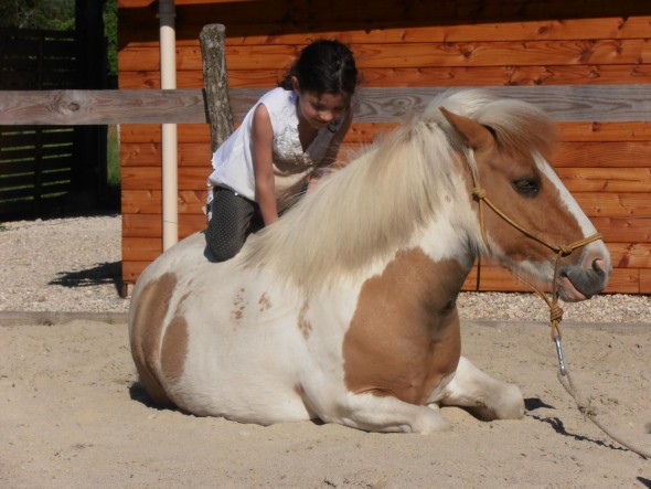 équithérapie cheval