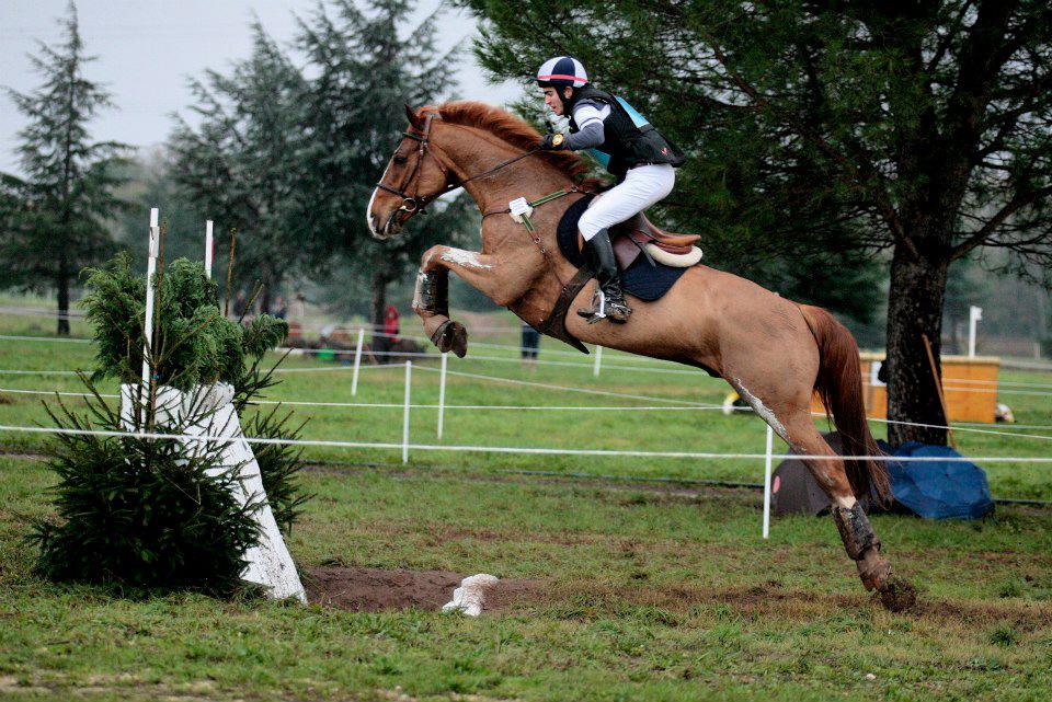Présentation des Jeux olympiques d’équitation 2016