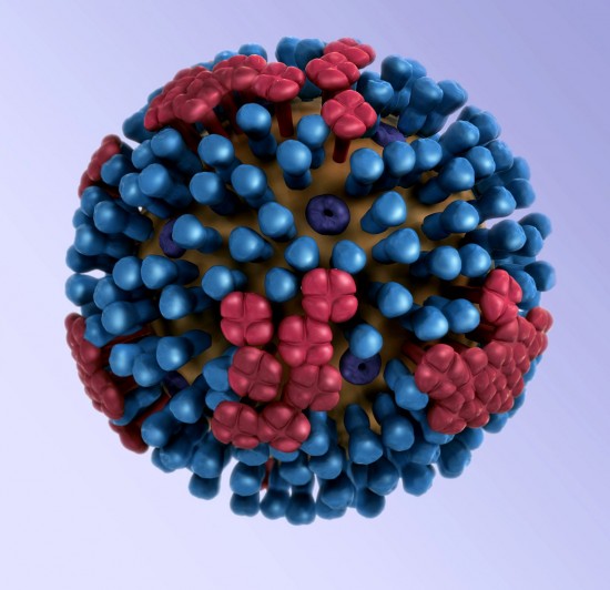 virus de la grippe modélisé en 3D