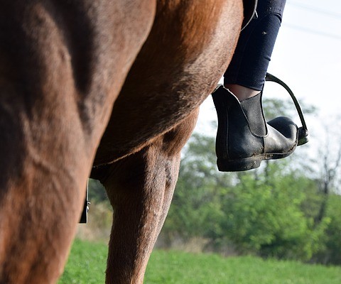 Quelles chaussures choisir pour monter à cheval ?