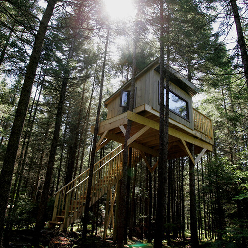 Cabane dans les arbres