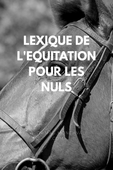 Lexique de l'équitation pour les nuls