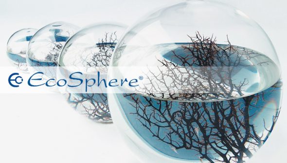 EcoSphere, un éco-système miniature