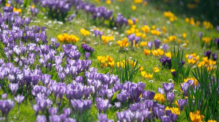 10 raisons d’aimer le printemps