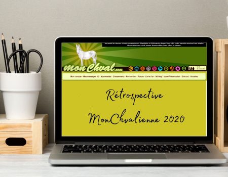 Rétrospective MonChvalienne 2020