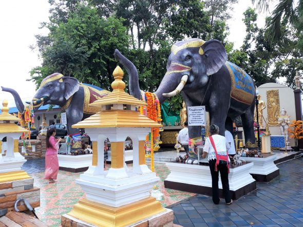 Les éléphants, symbole de la Thaïlande ou attraction touristique ?
