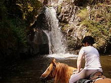 Les métiers du cheval : accompagnateur de tourisme équestre