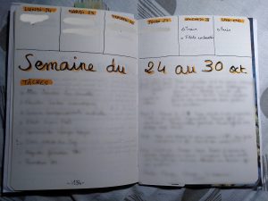 Exemple de weekly log bullet journal